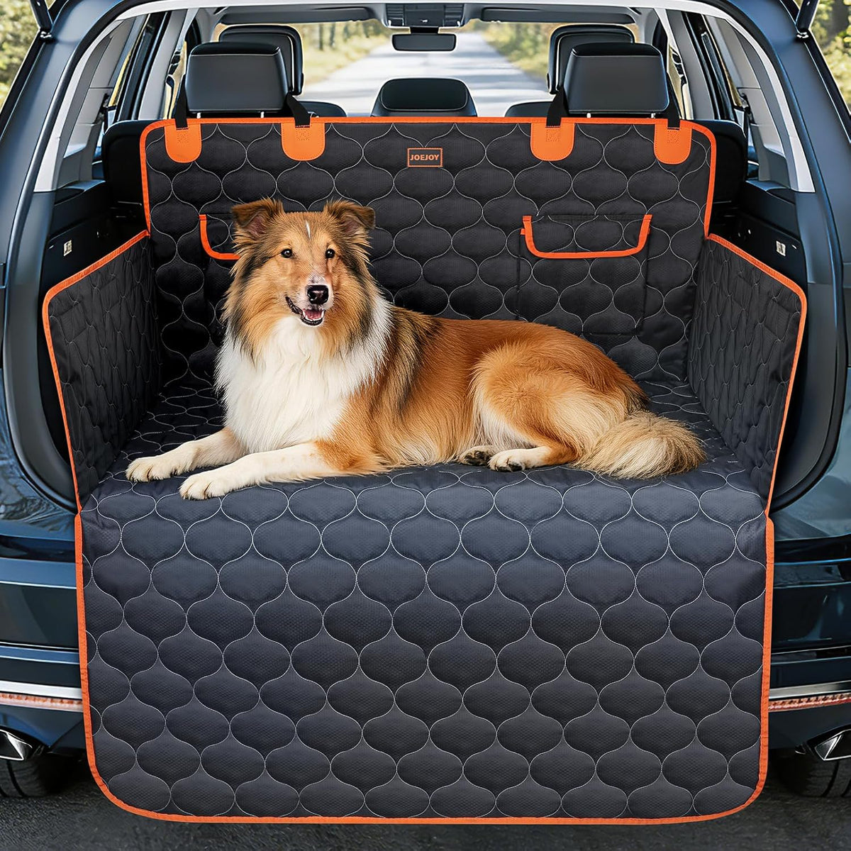Protection anti boue chien