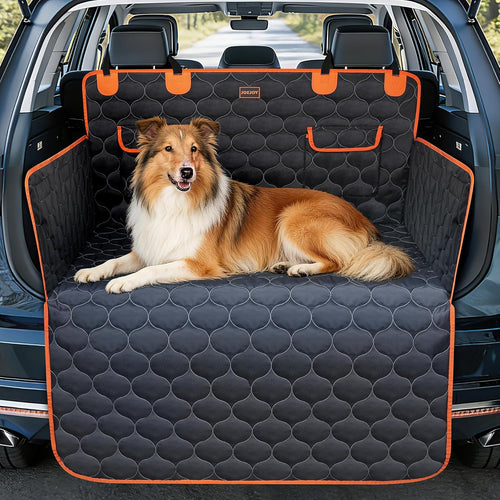 Protection anti boue chien